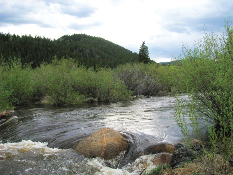 Property photo 12 - Get Lost in the Pristine Northern Colorado Rockies - Prime Building Sites